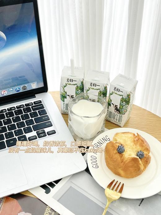 归一有机纯牛奶 200ml*12支/箱 商品图9