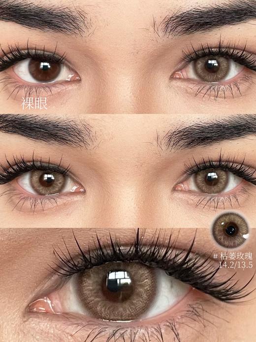 Serltyca 半年抛 枯萎玫瑰 直径14.2mm着色13.5mm 商品图3