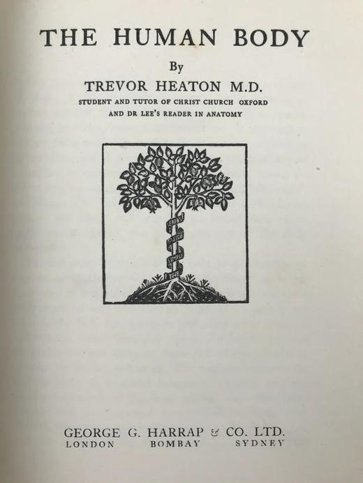 1928年 人体图鉴 27幅插图 漆布精装大32开 书脊封底烫金压花 商品图3