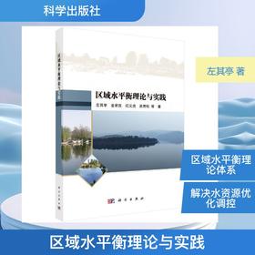 区域水平衡理论与实践