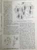 1923年 人类进化的科学研究（全2卷合订本） 408幅版画插图 漆布精装大32开 商品缩略图14