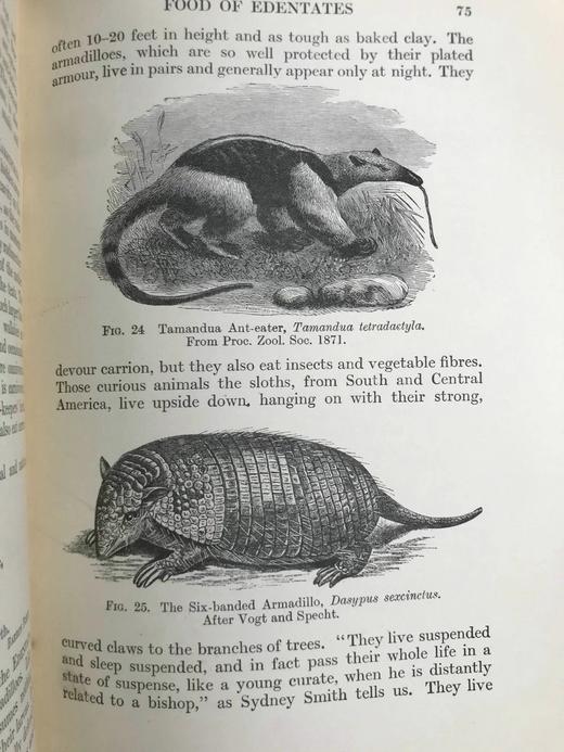 1925年 生物学读本 70幅版画插图 漆布精装32开 商品图8