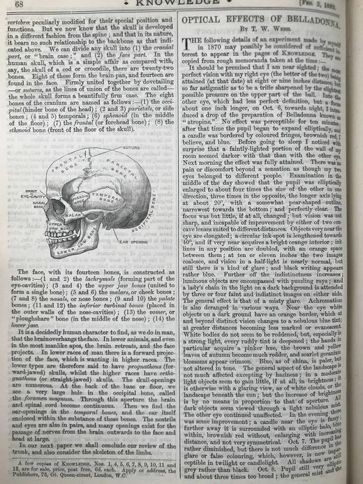 1883年1-6月 科学知识杂志 配插图 漆布精装16开 商品图8