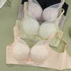 ZYQ-519  小胸显大文胸聚拢透气蕾丝性感无钢圈舒适收副乳调整型无骨内衣（单件） 商品缩略图1