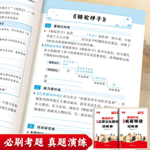 初中文学文化常识名著导读考点精炼必读名著漫画导图考点速记视频精讲赠训练册 商品图3