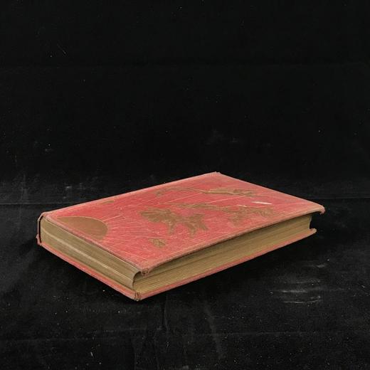 1897年 安德鲁·朗格《粉色童话书》 数十幅精美插图 漆布精装32开 商品图1