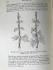 1925年 生物学读本 70幅版画插图 漆布精装32开 商品缩略图12