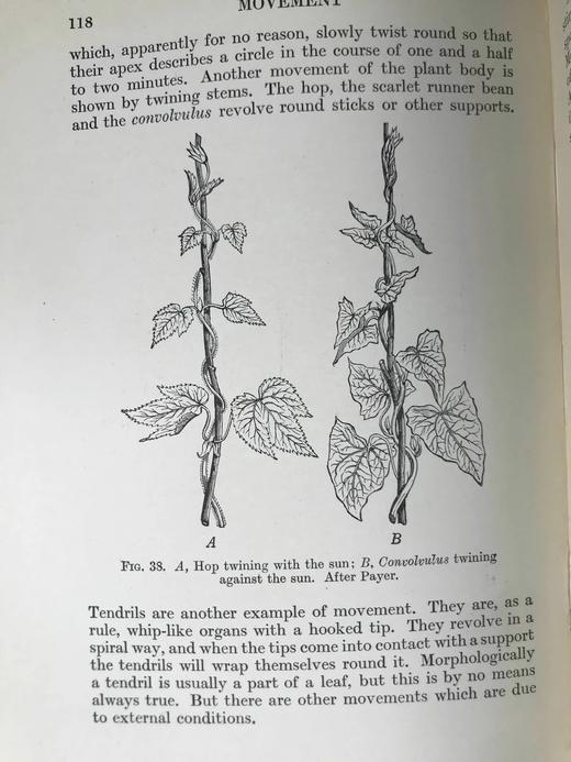 1925年 生物学读本 70幅版画插图 漆布精装32开 商品图12