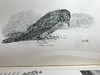 1891年 布莱特温夫人《以善意赢得的野生自然》 17幅插图 真皮精装36开 商品缩略图13