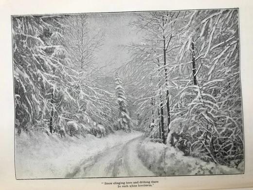 1895年 礼拜日杂志 数百幅插图 漆布精装18开 商品图6