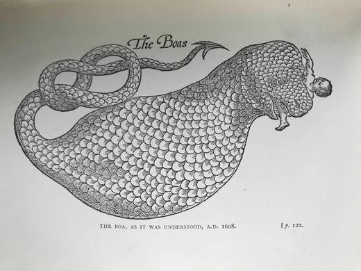 1901年 莎士比亚时代的英国小说 57幅插图 漆布精装32开 商品图8