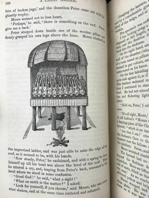 1885年 康希尔杂志 数百幅插图 皮脊精装大32开 商品图6