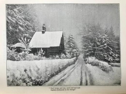 1895年 礼拜日杂志 数百幅插图 漆布精装18开 商品图7