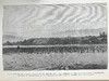 1888年 我们的地球与它的故事（卷2） 百余幅插图（含多幅套色版画） 漆布精装16开 商品缩略图13