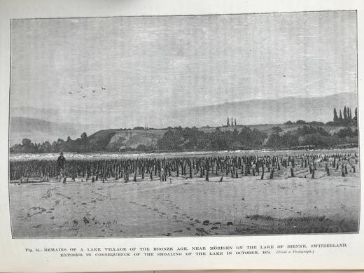 1888年 我们的地球与它的故事（卷2） 百余幅插图（含多幅套色版画） 漆布精装16开 商品图13