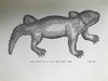 1901年 莎士比亚时代的英国小说 57幅插图 漆布精装32开 商品缩略图11