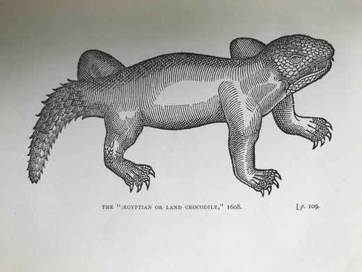 1901年 莎士比亚时代的英国小说 57幅插图 漆布精装32开 商品图11