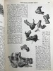 1895年 礼拜日杂志 数百幅插图 漆布精装18开 商品缩略图13