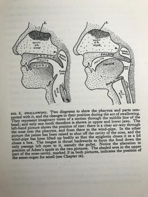 1928年 人体图鉴 27幅插图 漆布精装大32开 书脊封底烫金压花 商品图11