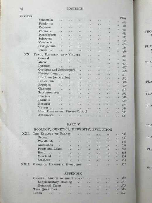 1959年 植物学教材 410幅插图 精装大32开 商品图5