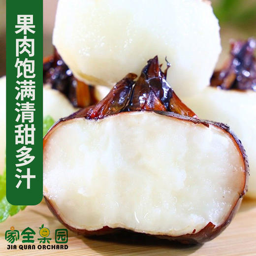 【厂商直发】广西有机鲜马蹄荸荠带皮去皮白马蹄清甜多汁新鲜包邮 商品图3