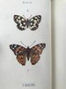 约20世纪早期 蝴蝶与飞蛾图鉴 48幅彩色插图 漆布精装32开 商品缩略图10