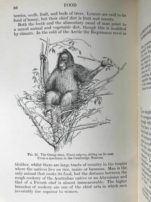 1925年 生物学读本 70幅版画插图 漆布精装32开 商品图11