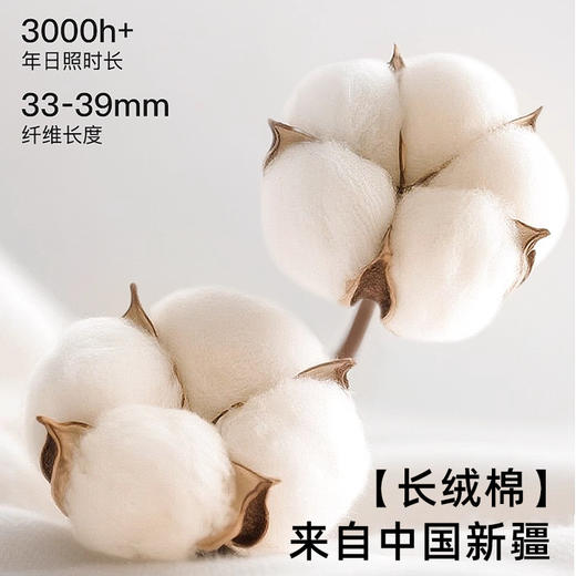 【新年好彩头❗️10A级新疆长绒棉保暖套装】越穿越顺，好运相伴！2026马年本命年情侣保暖内衣内裤袜子套装加绒秋冬男士女士红色秋衣秋裤纯棉 商品图1