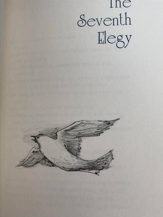 限量版！赖内・马利亚・里尔克《杜伊诺哀歌与致奥尔甫斯的十四行诗》 配插图 富兰克林图书馆豪华皮装本 商品图10