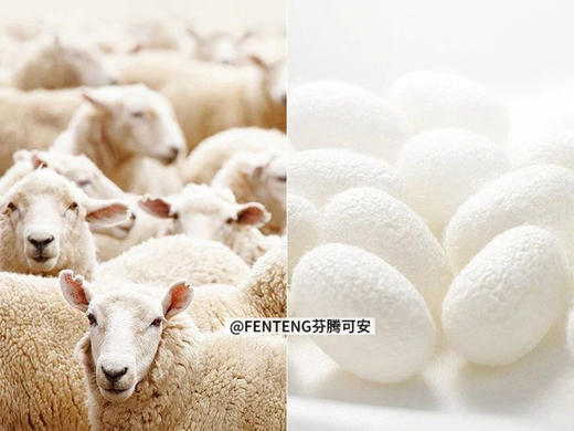 芬腾正品“马年鸿运”绵羊毛桑蚕丝本命年保暖套装 商品图12