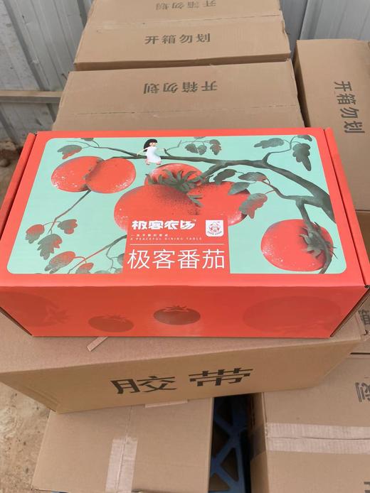 【六号果下单多送半斤】极客番茄丨六号果酸甜浓郁，适合生吃。这会儿口感相对春天滋味会淡一些，尝鲜还是很不错的。三号果皮薄多汁，生吃/炒菜。新鲜现摘现发⭐️京东快递 商品图5
