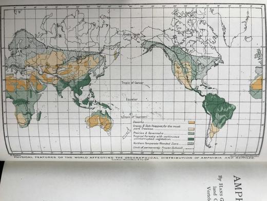 1920年 两栖与爬行动物图鉴 181幅插图 漆布精装大32开 商品图2