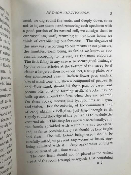 约19世纪后期 兰克斯特夫人《英国蕨类植物图鉴》 16幅套色版画插图 漆布精装32开 商品图13