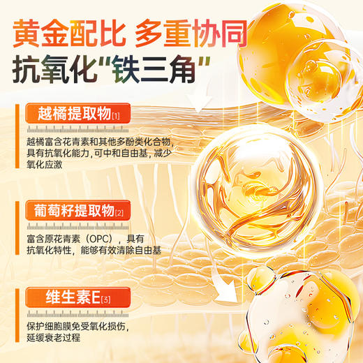 翠云堂越橘葡萄籽维生素E片   12片/盒 商品图3