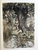 鬼才拉克姆12幅彩色手工贴图！1931年 沃尔顿《钓客清话》 漆布精装16开 商品缩略图14