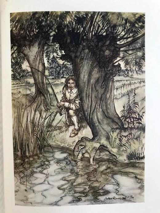 鬼才拉克姆12幅彩色手工贴图！1931年 沃尔顿《钓客清话》 漆布精装16开 商品图14