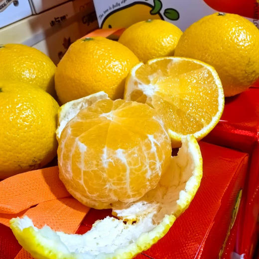 甜桔柚（分装5-6个装） 商品图0