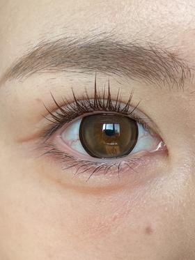 papadox日抛美瞳 鸡蛋仔 14.5mm