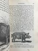 1843年 趣味博物学家 350余幅版画插图 全真皮精装32开 商品缩略图8