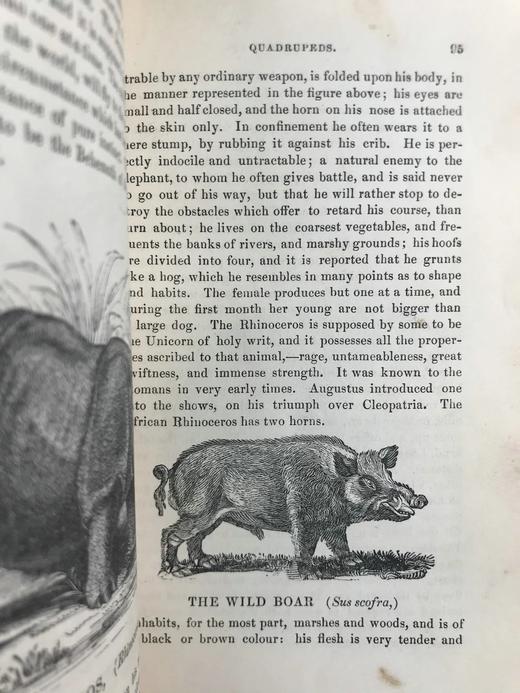 1843年 趣味博物学家 350余幅版画插图 全真皮精装32开 商品图8