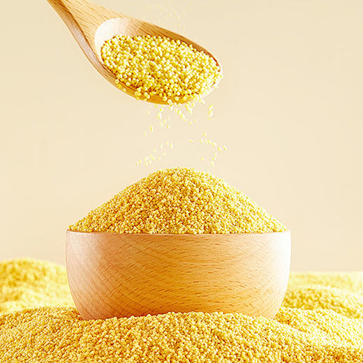 当季黄小米山西沁州黄小米月子米粥软糯香米五谷杂粮礼盒 商品图6