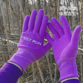双层加厚紫色保暖高弹银离子触屏手套运动越野马拉松户外