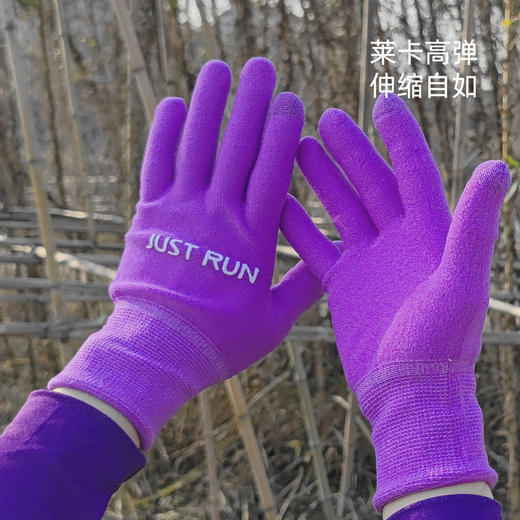 双层加厚紫色保暖高弹银离子触屏手套运动越野马拉松户外 商品图0
