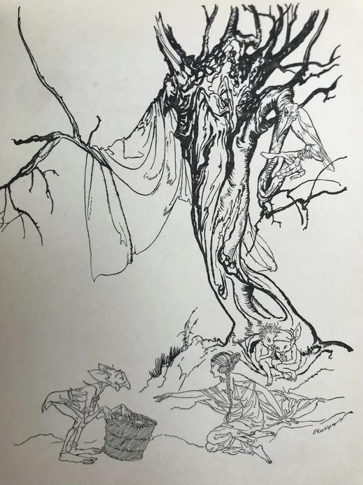 约20世纪早期 菲尔波茨《一碟苹果》 鬼才拉克姆3幅彩色7幅黑白插图 漆布精装32开 商品图8