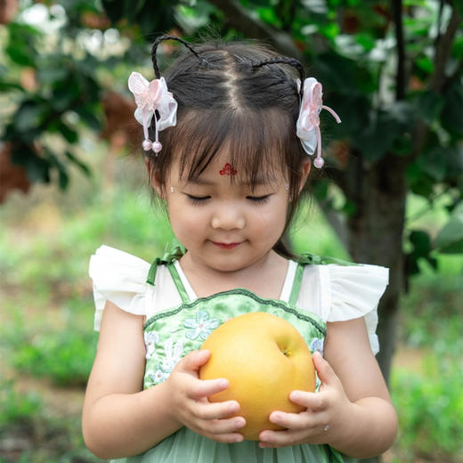 【莱西秋月梨】皮薄、果肉细脆，汁多味甜， 商品图4