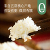 【预售7天左右】五常大米 & 五常富硒大米 煮饭煮粥微甜香糯 来自五常核心产地安家镇 产地直发 新鲜现磨 商品缩略图0