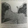 1923年 格林病理学与病理解剖学指南 配版画插图 漆布精装大32开 商品缩略图13