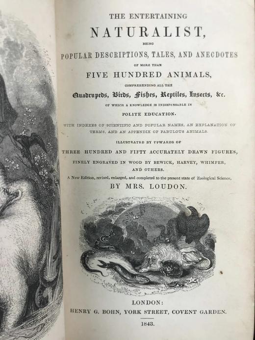 1843年 趣味博物学家 350余幅版画插图 全真皮精装32开 商品图3