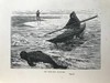 1899年 穿越格陵兰岛的冰原 12幅插图 漆布精装32开 商品缩略图8