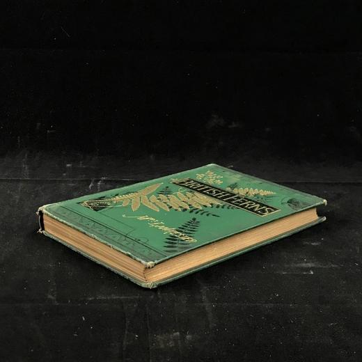 约19世纪后期 兰克斯特夫人《英国蕨类植物图鉴》 16幅套色版画插图 漆布精装32开 商品图1